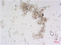 登錄號:A00004485藏品圖，第2張