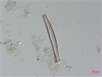 登錄號:A00004485藏品圖，第3張