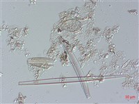 登錄號:A00004486藏品圖，第3張
