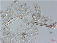 登錄號:A00004486藏品圖，第4張