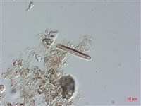 登錄號:A00004486藏品圖，第5張