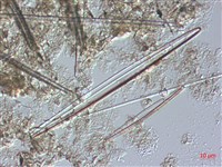 登錄號:A00004486藏品圖，第6張