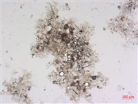 登錄號:A00004487藏品圖，第2張