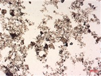 登錄號:A00004488藏品圖，第2張
