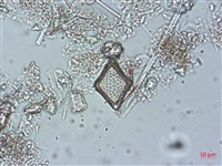 登錄號:A00004488藏品圖，第3張