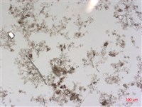 登錄號:A00004489藏品圖，第2張