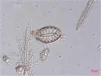登錄號:A00004489藏品圖，第3張