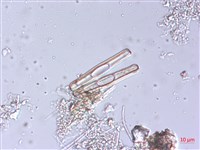 登錄號:A00004489藏品圖，第4張