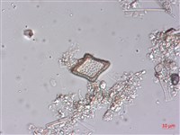 登錄號:A00004489藏品圖，第5張
