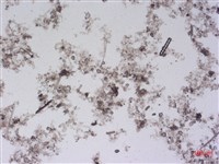 登錄號:A00004490藏品圖，第2張