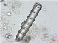 登錄號:A00004490藏品圖，第3張