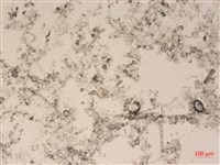 登錄號:A00004491藏品圖，第2張