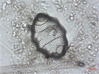 登錄號:A00004491藏品圖，第4張
