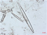 登錄號:A00004492藏品圖，第3張