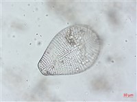 登錄號:A00004492藏品圖，第5張