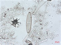 登錄號:A00004492藏品圖，第6張