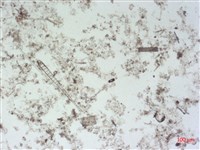 登錄號:A00004494藏品圖，第2張
