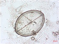 登錄號:A00004494藏品圖，第3張