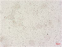 登錄號:A00004495藏品圖，第3張