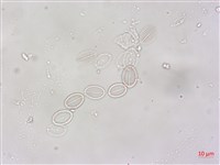 登錄號:A00004496藏品圖，第3張