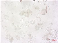 登錄號:A00004496藏品圖，第4張
