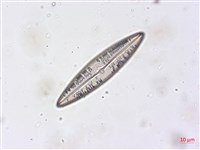 登錄號:A00004497藏品圖，第3張