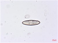 登錄號:A00004497藏品圖，第4張