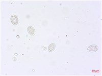 登錄號:A00004497藏品圖，第5張