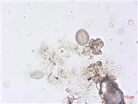 登錄號:A00004497藏品圖，第6張