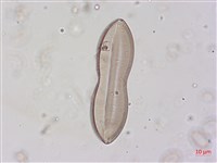 登錄號:A00004498藏品圖，第3張