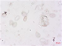 登錄號:A00004498藏品圖，第4張