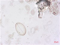 登錄號:A00004498藏品圖，第5張