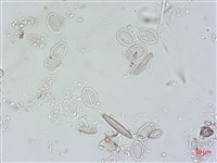 登錄號:A00004499藏品圖，第4張