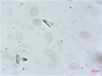 登錄號:A00004500藏品圖，第3張
