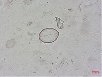 登錄號:A00004500藏品圖，第4張