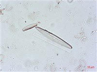 登錄號:A00004500藏品圖，第5張