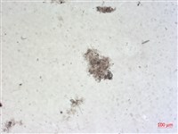 登錄號:A00004501藏品圖，第2張