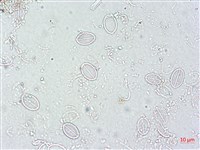 登錄號:A00004501藏品圖，第3張