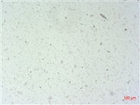 登錄號:A00004502藏品圖，第2張