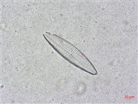 登錄號:A00004502藏品圖，第3張