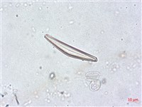 登錄號:A00004502藏品圖，第5張