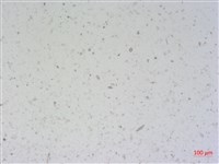 登錄號:A00004503藏品圖，第2張