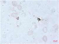 登錄號:A00004503藏品圖，第3張