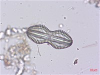 登錄號:A00004504藏品圖，第3張