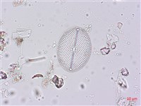 登錄號:A00004504藏品圖，第5張