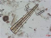 登錄號:A00004504藏品圖，第6張