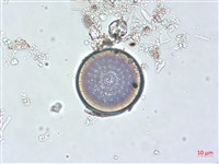 登錄號:A00004506藏品圖，第3張