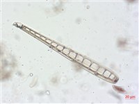 登錄號:A00004506藏品圖，第5張
