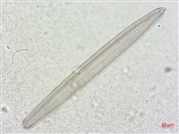 登錄號:A00004507藏品圖，第4張