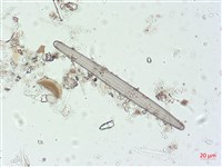 登錄號:A00004508藏品圖，第5張